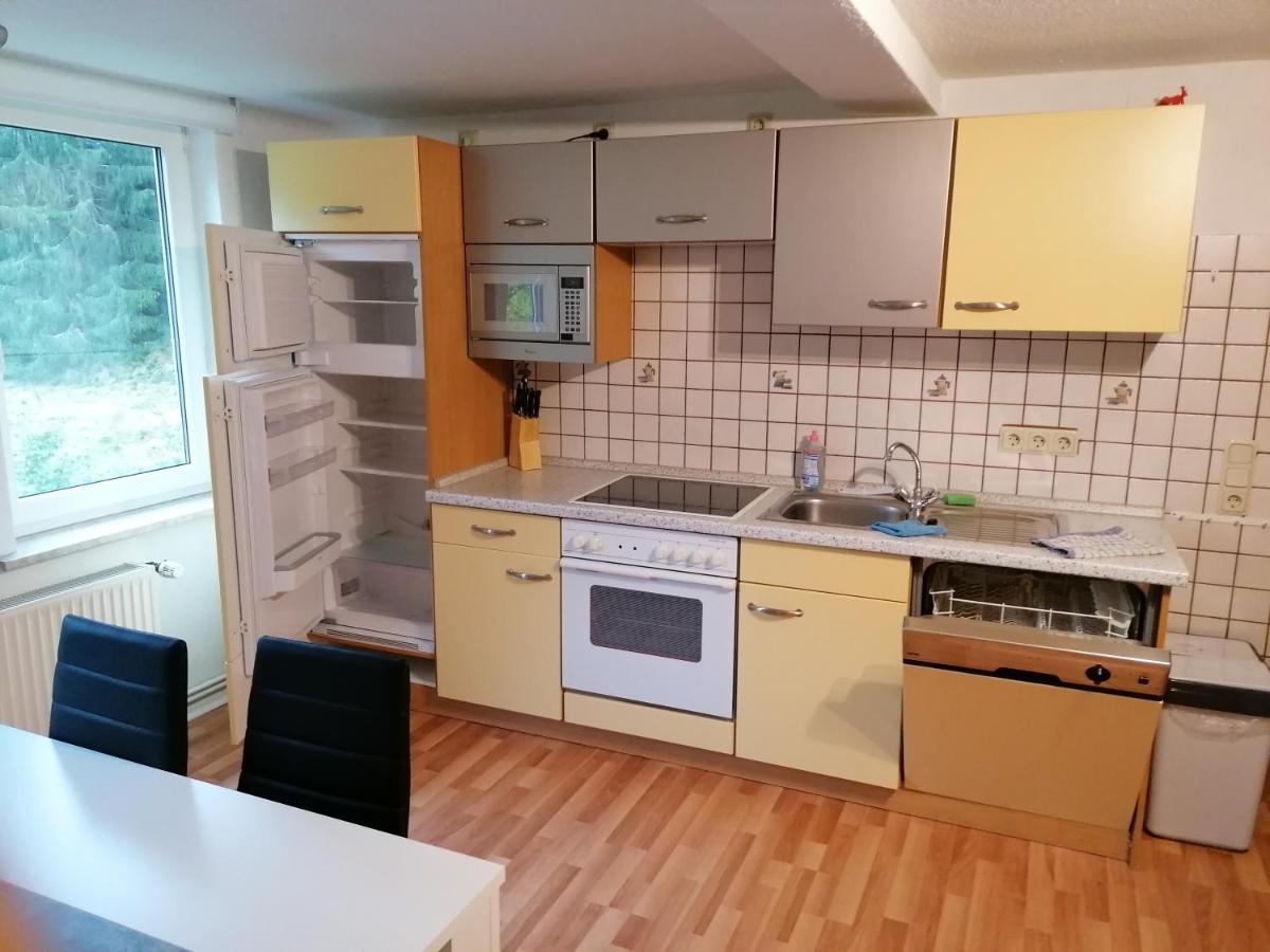 Ferienwohnungen Untermuehle, Rothenbergerstr. 12 阿尔特瑙 外观 照片
