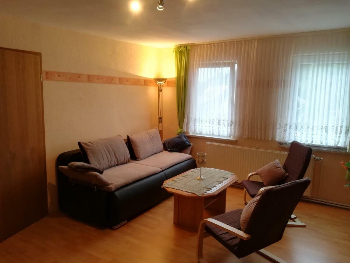 Ferienwohnungen Untermuehle, Rothenbergerstr. 12 阿尔特瑙 外观 照片